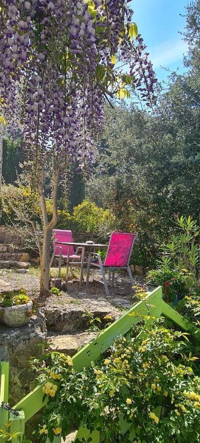 Studio De Charme + Terrasse : Verdon, Lac, Plages Claviers Ngoại thất bức ảnh